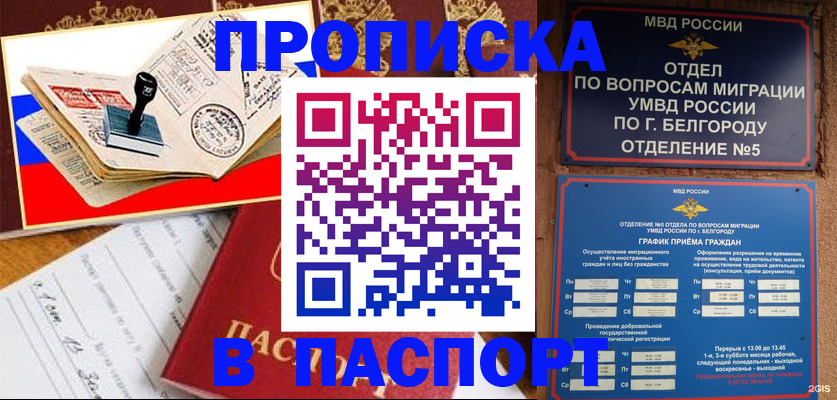 купить прописку в Киселёвске